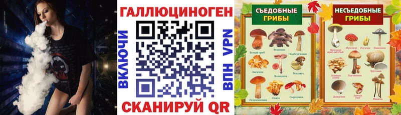 где продают Харовск Псилоцибиновые грибы MAGIC MUSHROOMS
